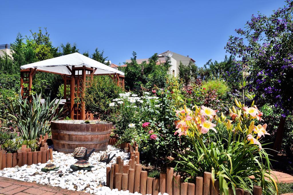 Stamatakis Boutique Studios Platanés Exteriör bild